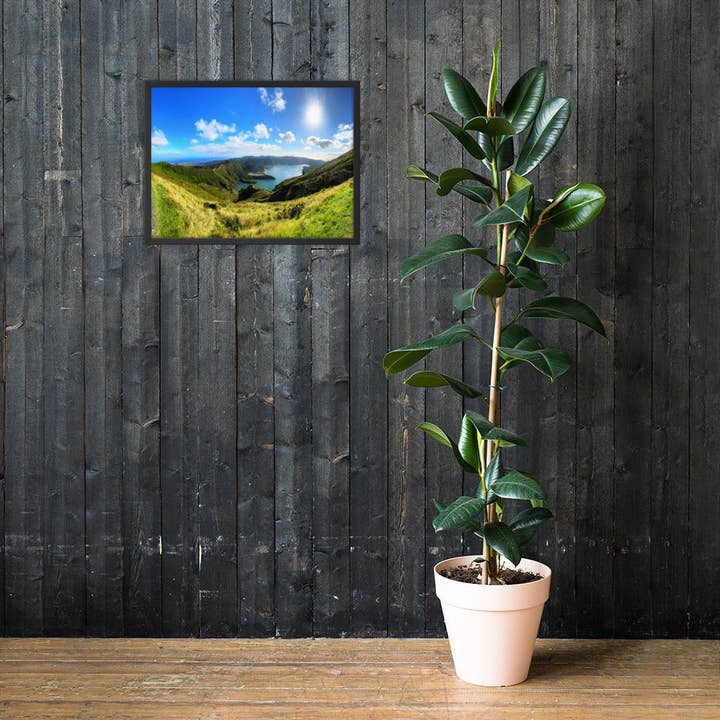 Monmouth Paragon - Wholesale Poster - Mountain to Sea Framed Posters40