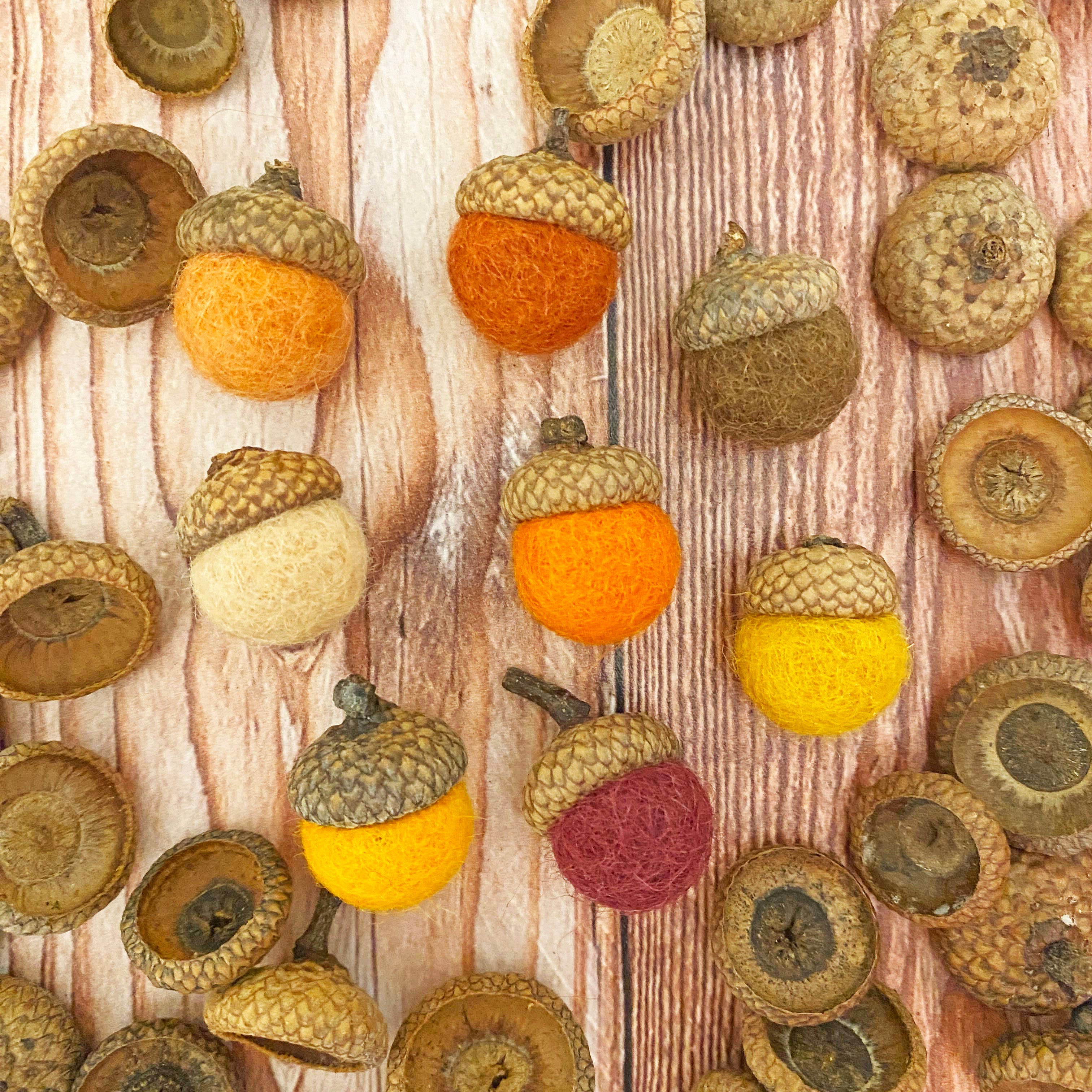 Oakwind Hollow - Venta al por mayor Artículo decorativo de mesa - Mini bellotas de fieltro de lana con aroma a especias de calabaza2