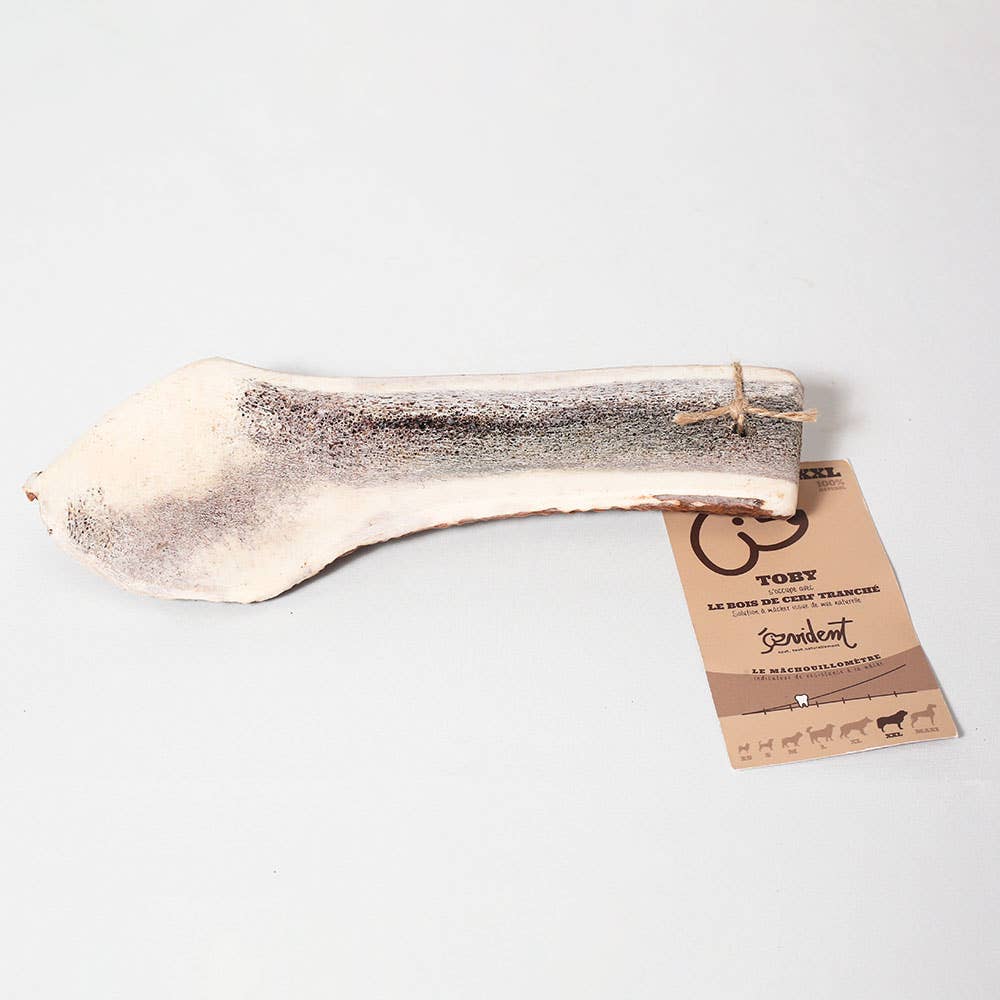 Evident - Wholesale Pet Bone/Rawhide - Dog - TOBY - Sliced deer antler to chew for dogs7