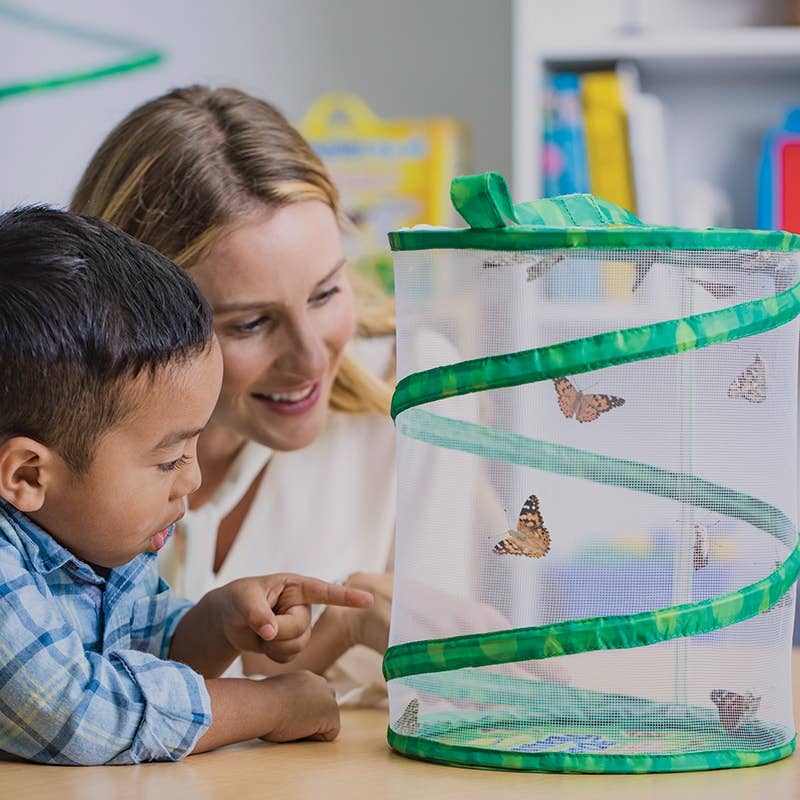 INSECT LORE - Wholesale Classic Toy - Kids - Original Butterfly Garden® Growing Kit with Voucher 5