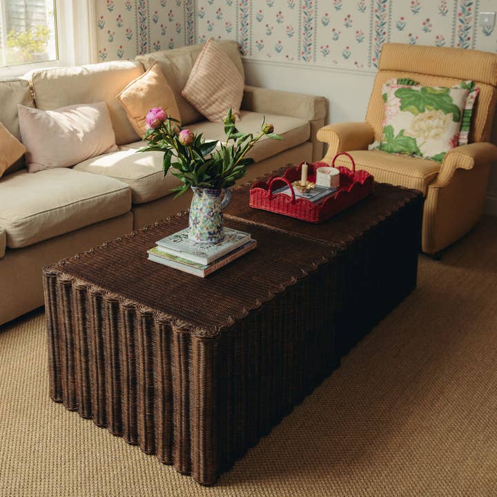 Hastshilp – wholesale Coffee table – Daisy Rattan Coffee Table5