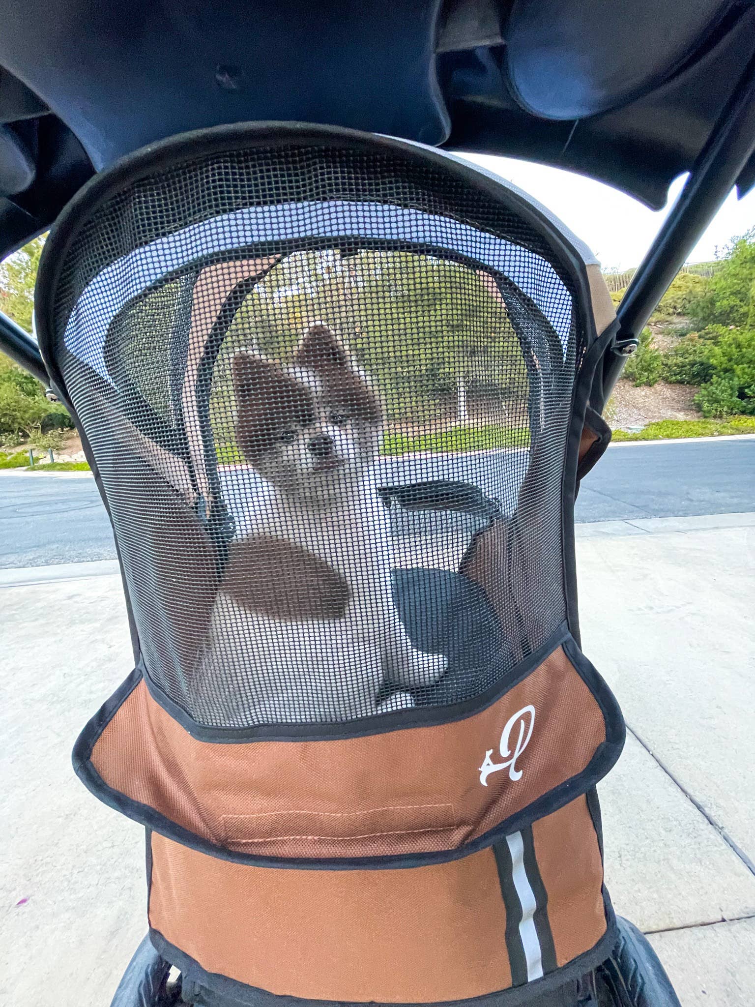 Petique - Wholesale Pet Carrier - Cat/Dog - Revolutionary Pet Stroller38
