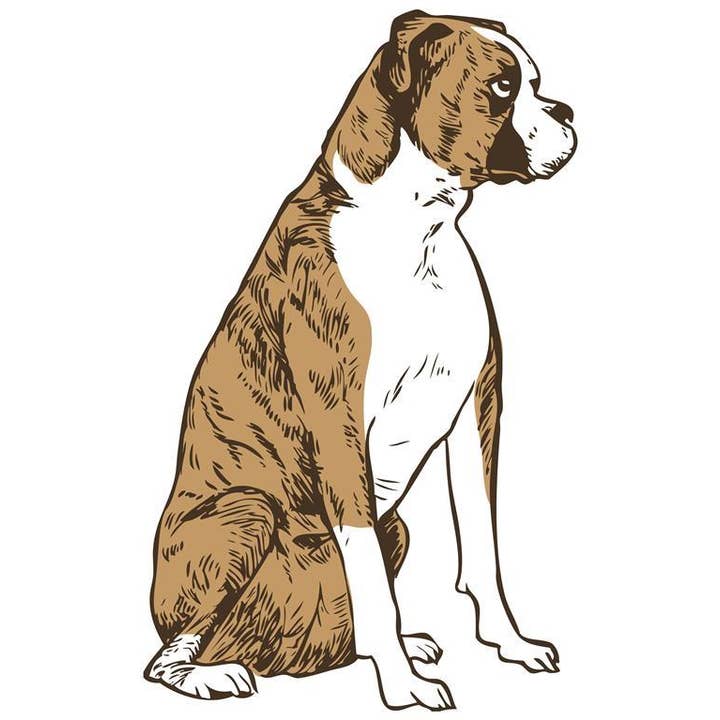 RAN-47 Boxer, impression artistique assise pour la vente par Rigel Paper