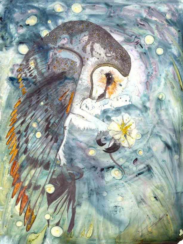 Maanbloemuil (Kerkuil) voor wholesale door Freckled Illustrations