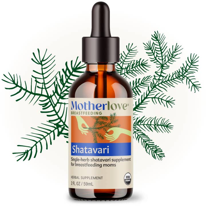 Shatavari 2oz Tincture for wholesale by Motherlove