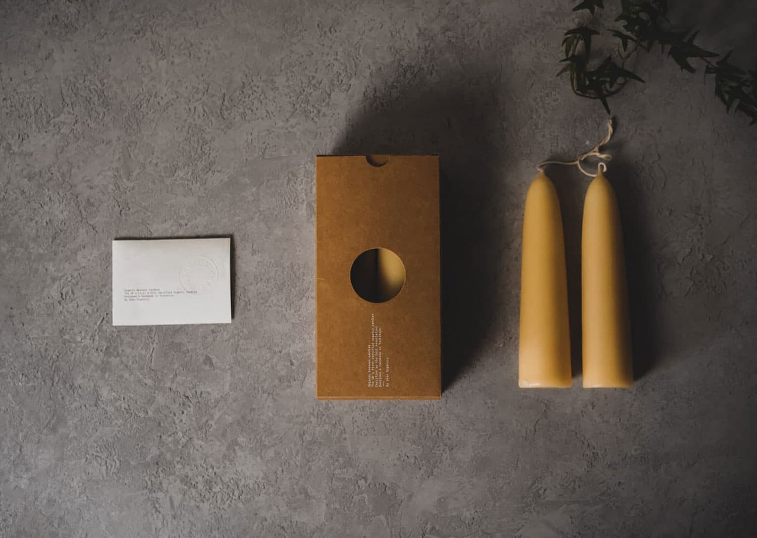 Skär Organics - Vendita all'ingrosso Candele cilindriche/candelieri - Candela Corta a Taper di Cera d’Api Biologica (Grande) [Scatola]2