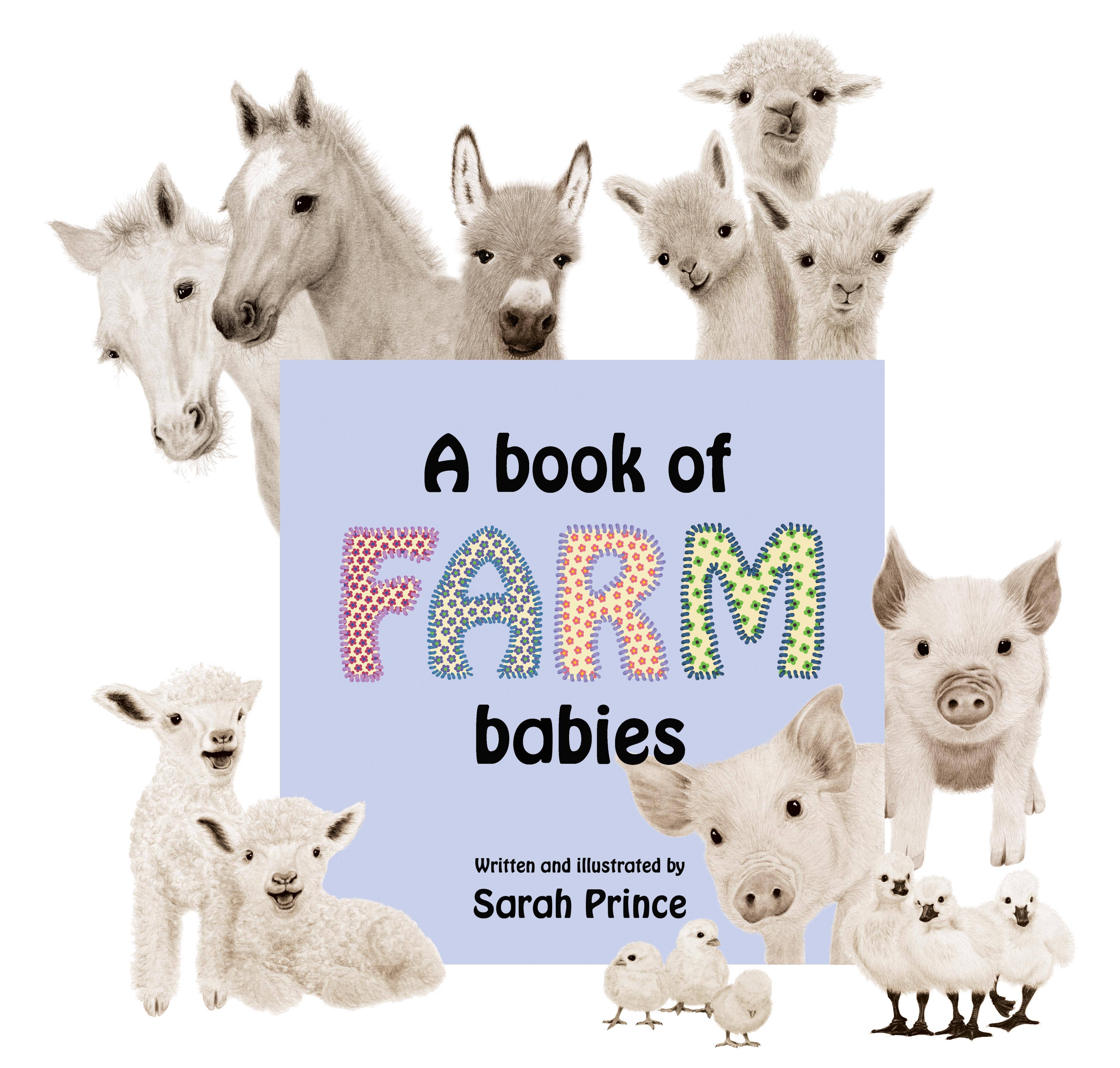 Miss Prince Publications - Wholesale Baby & Toddler Book (0-2) - A Book of Farm Babies0