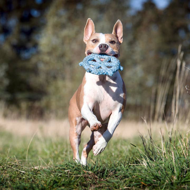 LABONI - Volentis GmbH - Wholesale Pet Rope Toy - Dog - SKIPPER – A Fresh Breeze of Fun5
