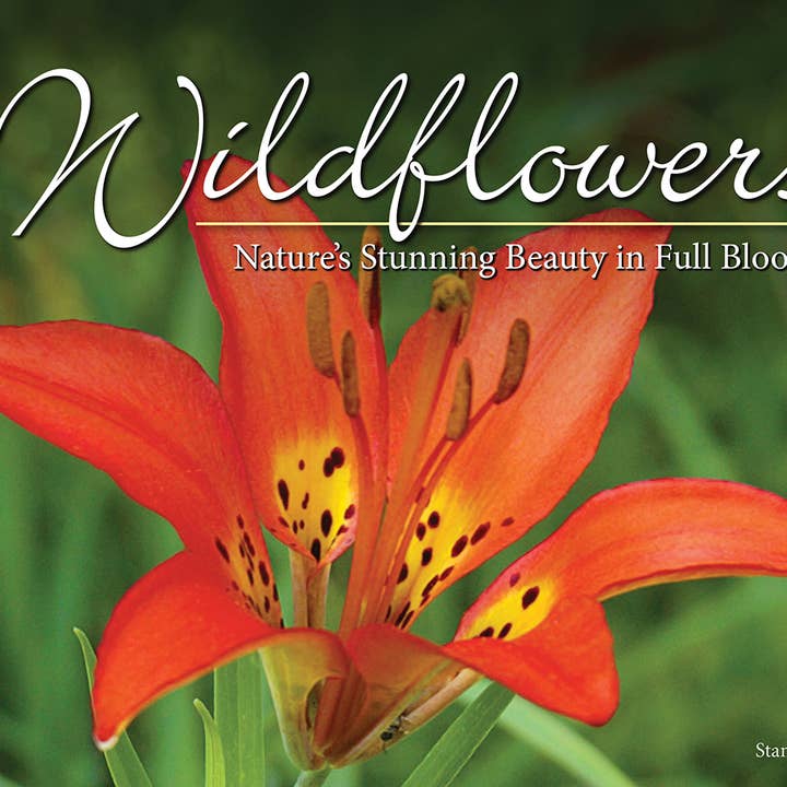 AdventureKEEN - Wholesale Book - Adult - Wildflowers