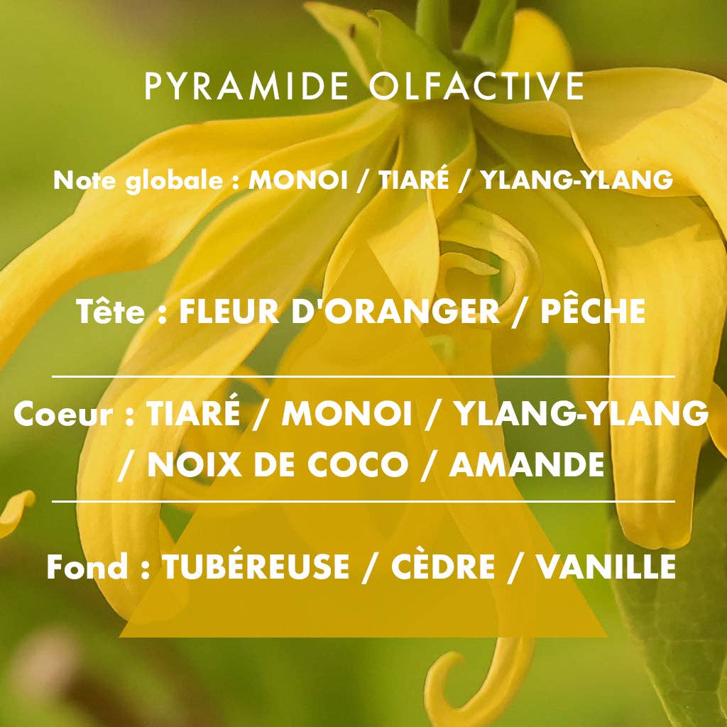 L'Échoppe Buissonnière – Großhandel Kerze im Glas / gefüllte Kerze – Ylang Ylang - Duftkerze 400g4