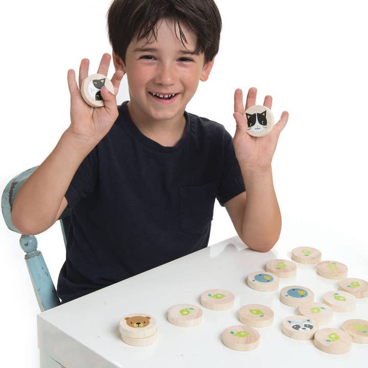 Tender Leaf Toys - Wholesale Brain Game - Kids - Clever Cat Memory Game