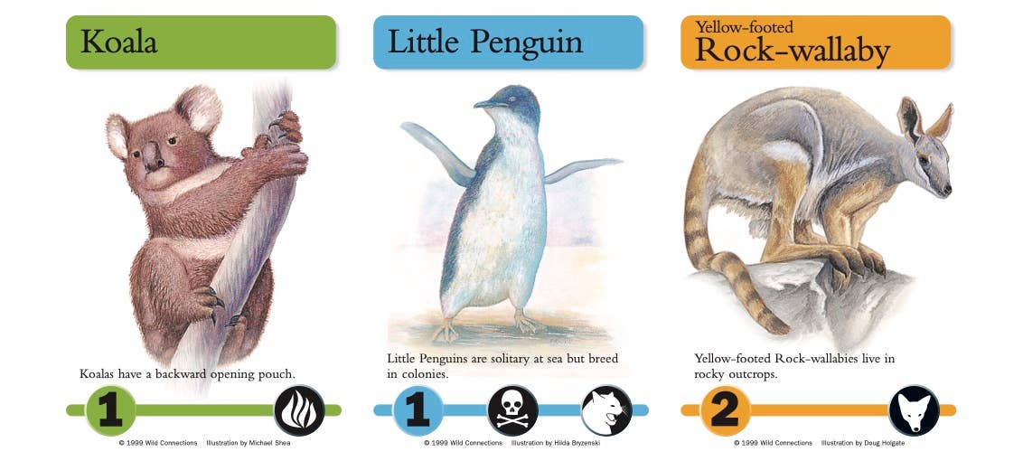 Science and Nature – wholesale Card game – Australian Menagerie Game4