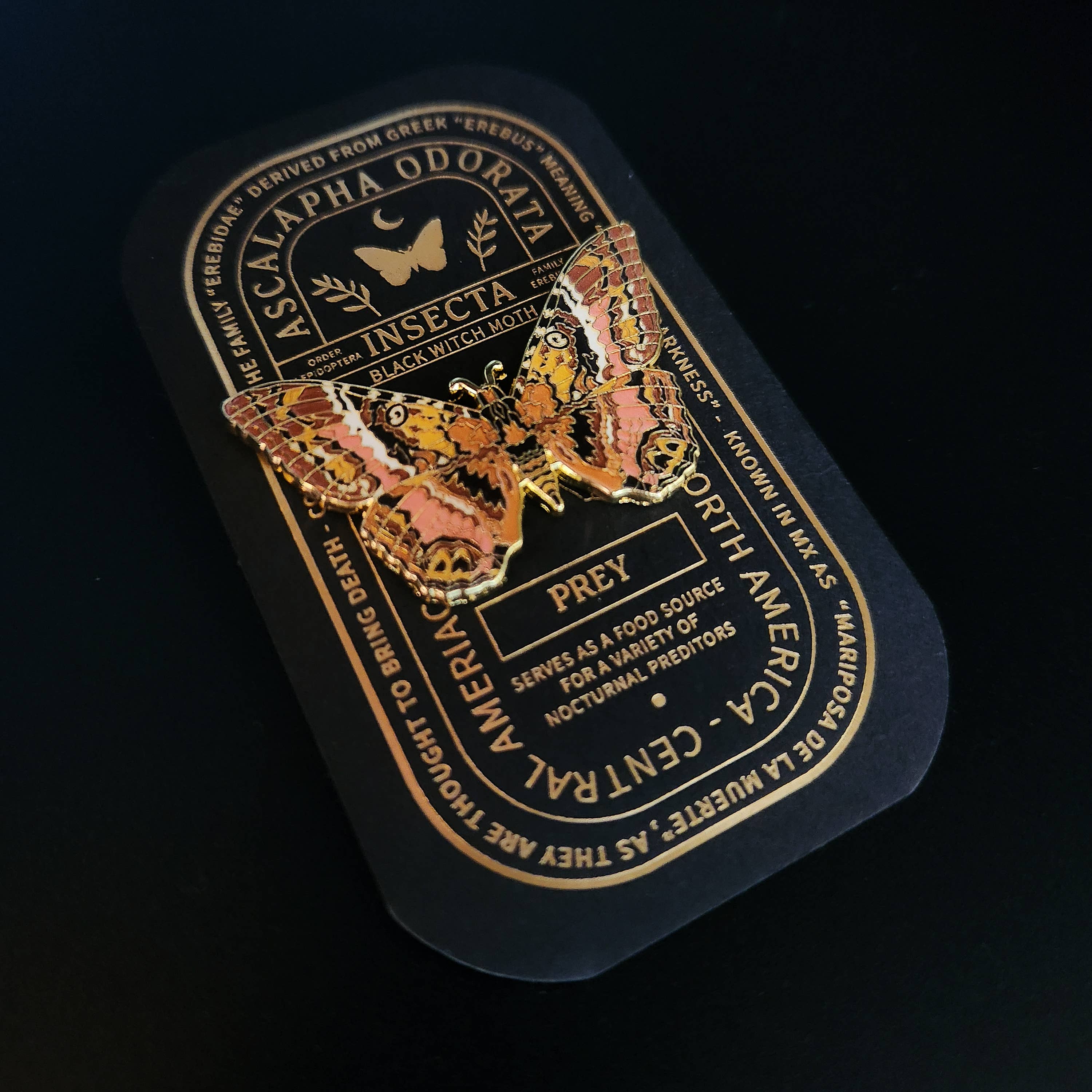 Pinsects - Wholesale Lapel Pin/Button - Black Witch Moth Educational Insect Enamel Pin2