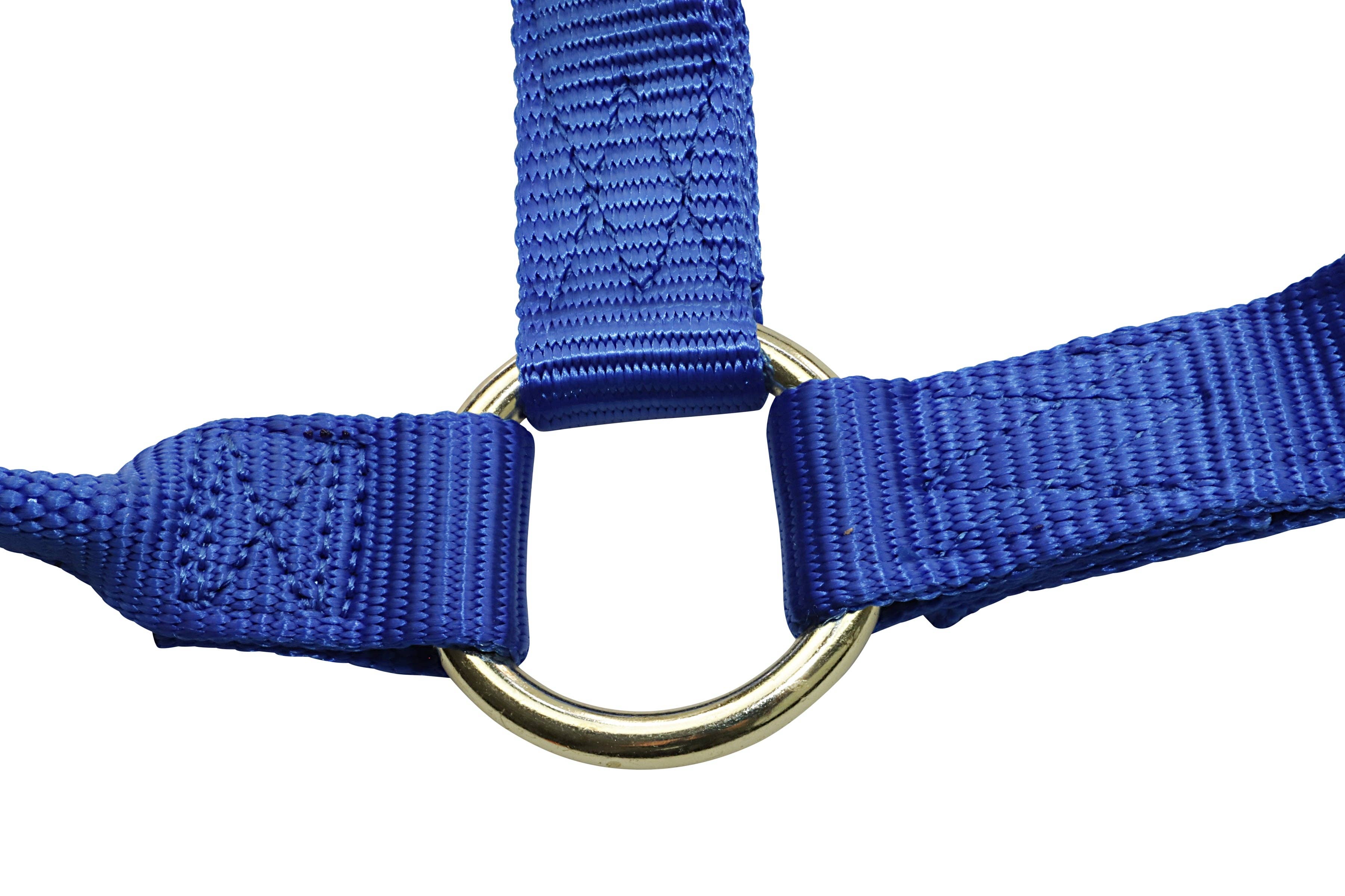 Grewal Equestrian - Wholesale Paardrijuitrusting - Nylon hoofdstellen voor paarden17