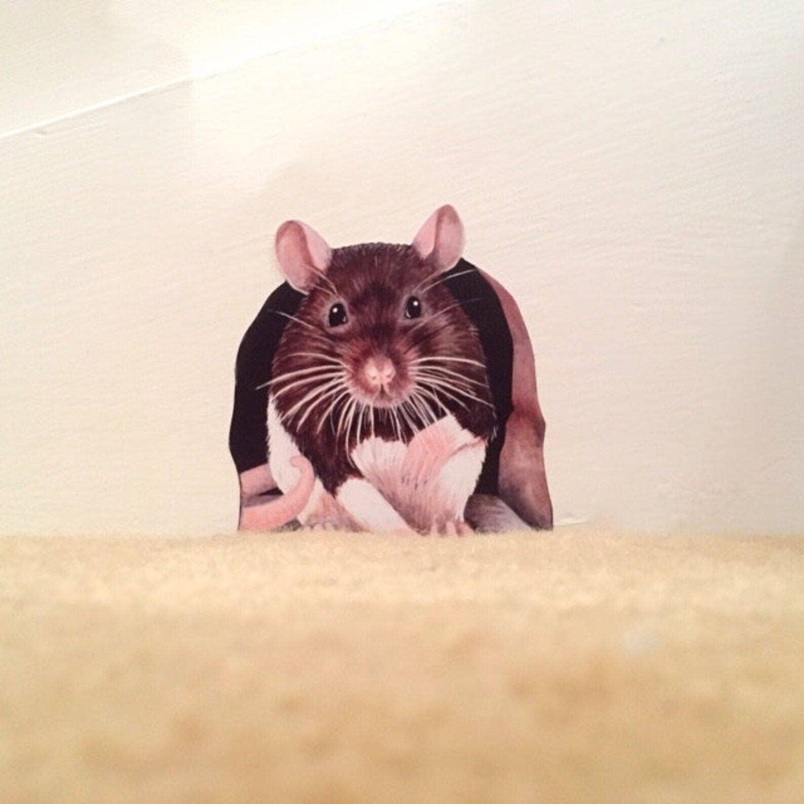 Wonderwallsboutique – wholesale Wall decal/stickers – Charming Rat Wall Sticker - Easy to Apply & Remove1
