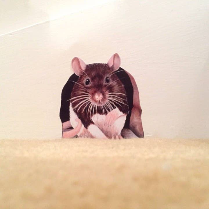 Wonderwallsboutique – wholesale Wall decal/stickers – Charming Rat Wall Sticker - Easy to Apply & Remove1