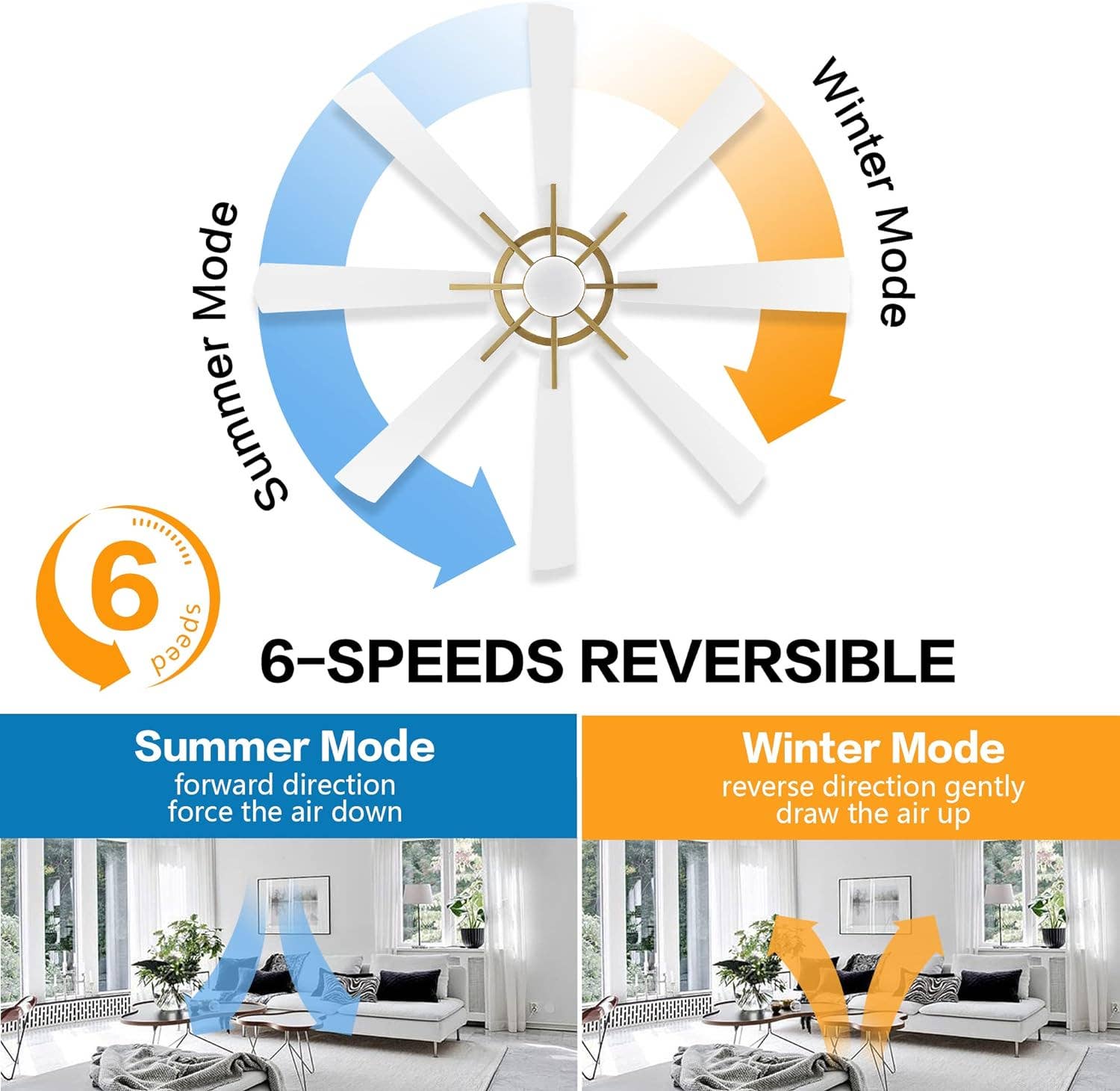 Brio Lighting - Wholesale Ceiling Fan - Ceiling Fan Modern 60" 8-Blade Gold & White with LED Light5