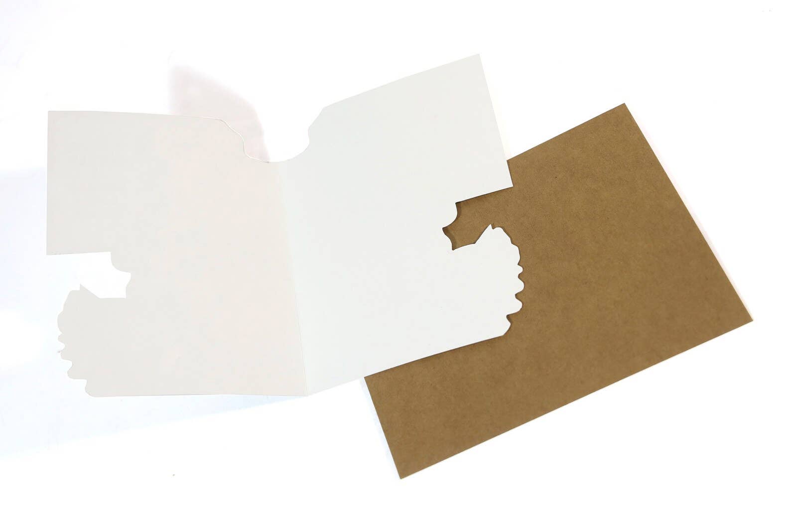 Bad Betty Greeting Co. - Wholesale Birthday Card - Funny Birthday Card - Closer to Crazy Cat Lady2