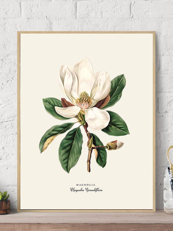 Vintage Magnolia Canvas Wall Art Print for wholesale by Arttique - Artistry Canvas Prints