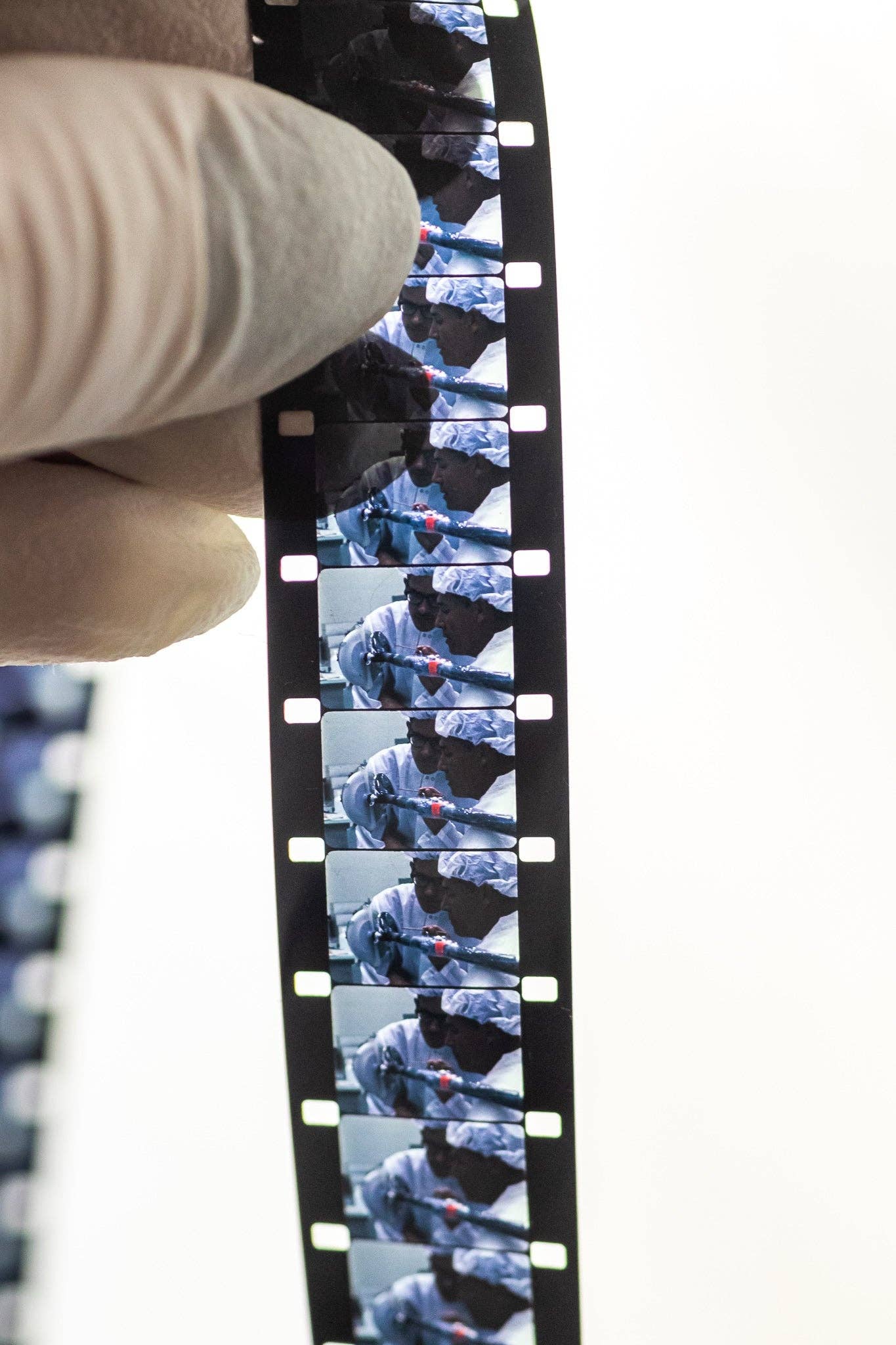 Stemcell Science Shop - Wholesale Decorative Tabletop Object - Wholesale Sample Box12