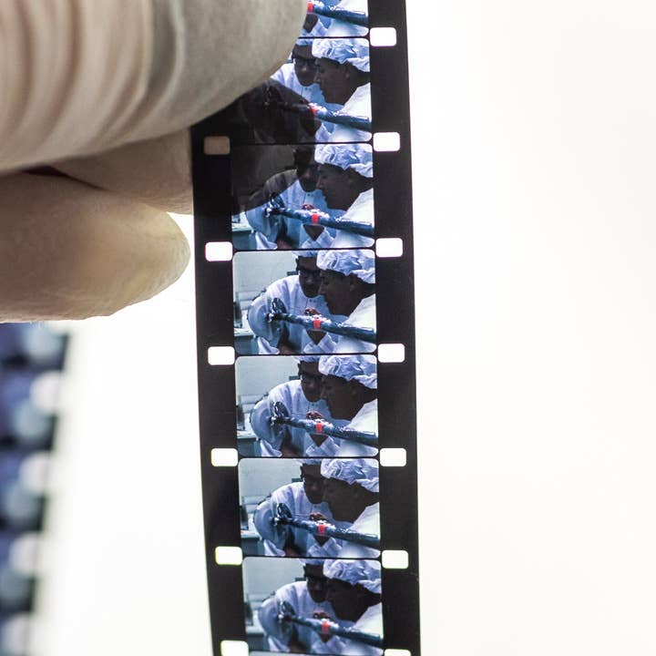 Stemcell Science Shop - Wholesale Decorative Tabletop Object - Wholesale Sample Box12