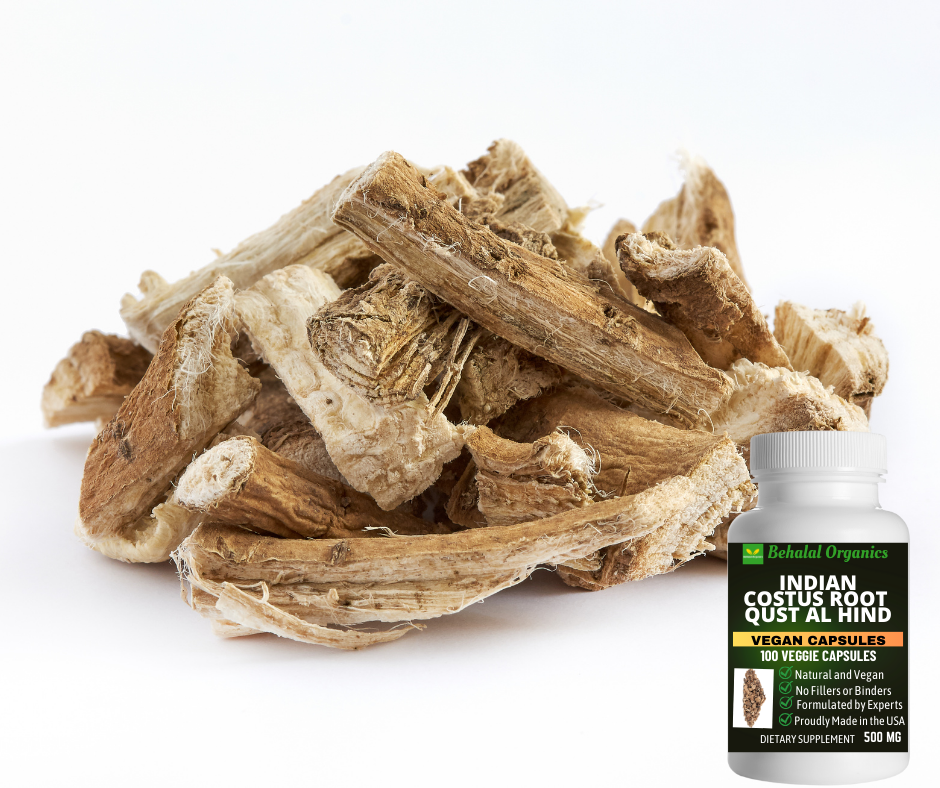 Behalal Organics – Suplemento/vitamina oral por atacado – Qust al Hindi 500 mg (Raiz Indiana de Costus) 100 cápsulas veganas rápidas8
