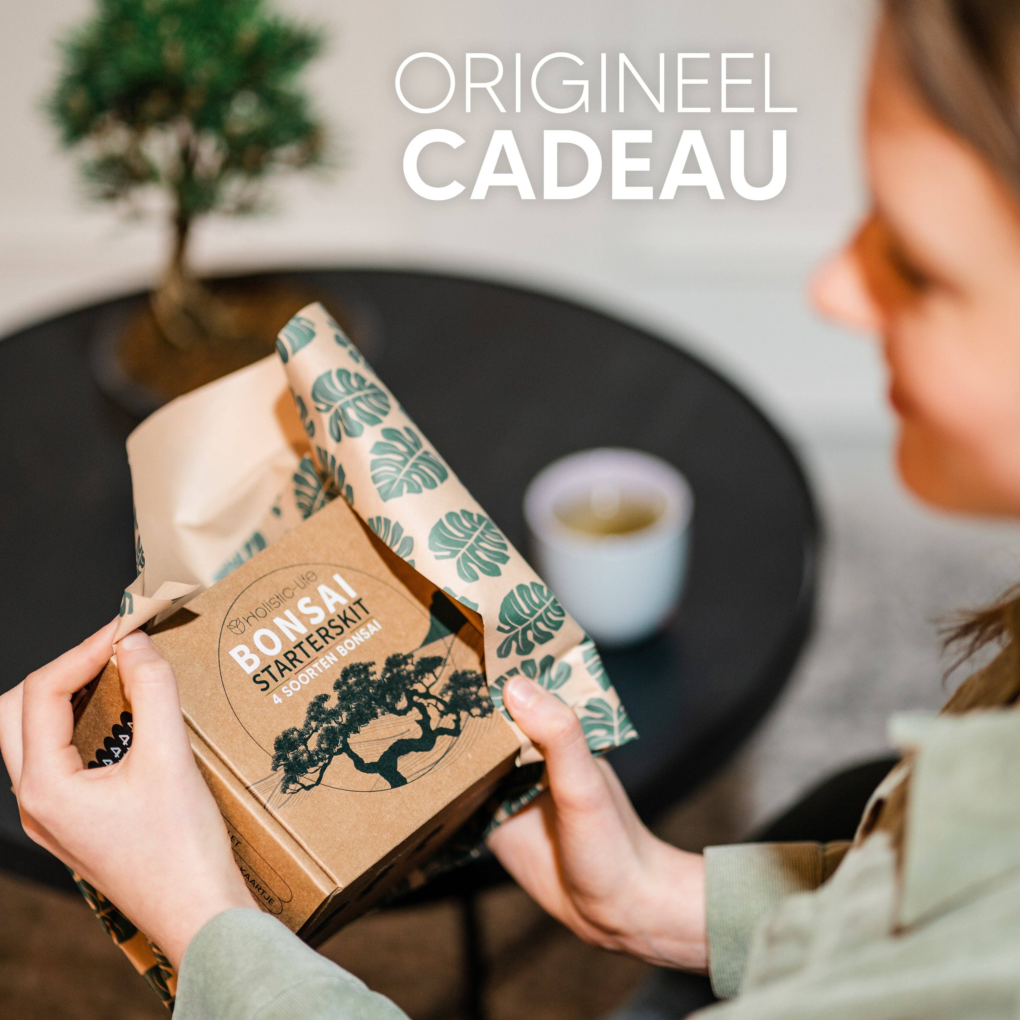 holistic-life - Wholesale DIY Craft Kit - Bonsai Starter Kit with Comprehensive Manual – Plastic-Free7