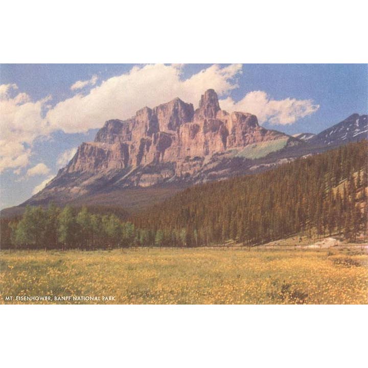 Art Print CN-149 Mt. Eisenhower, Banff National Park, Canada for wholesale by Found Image Press