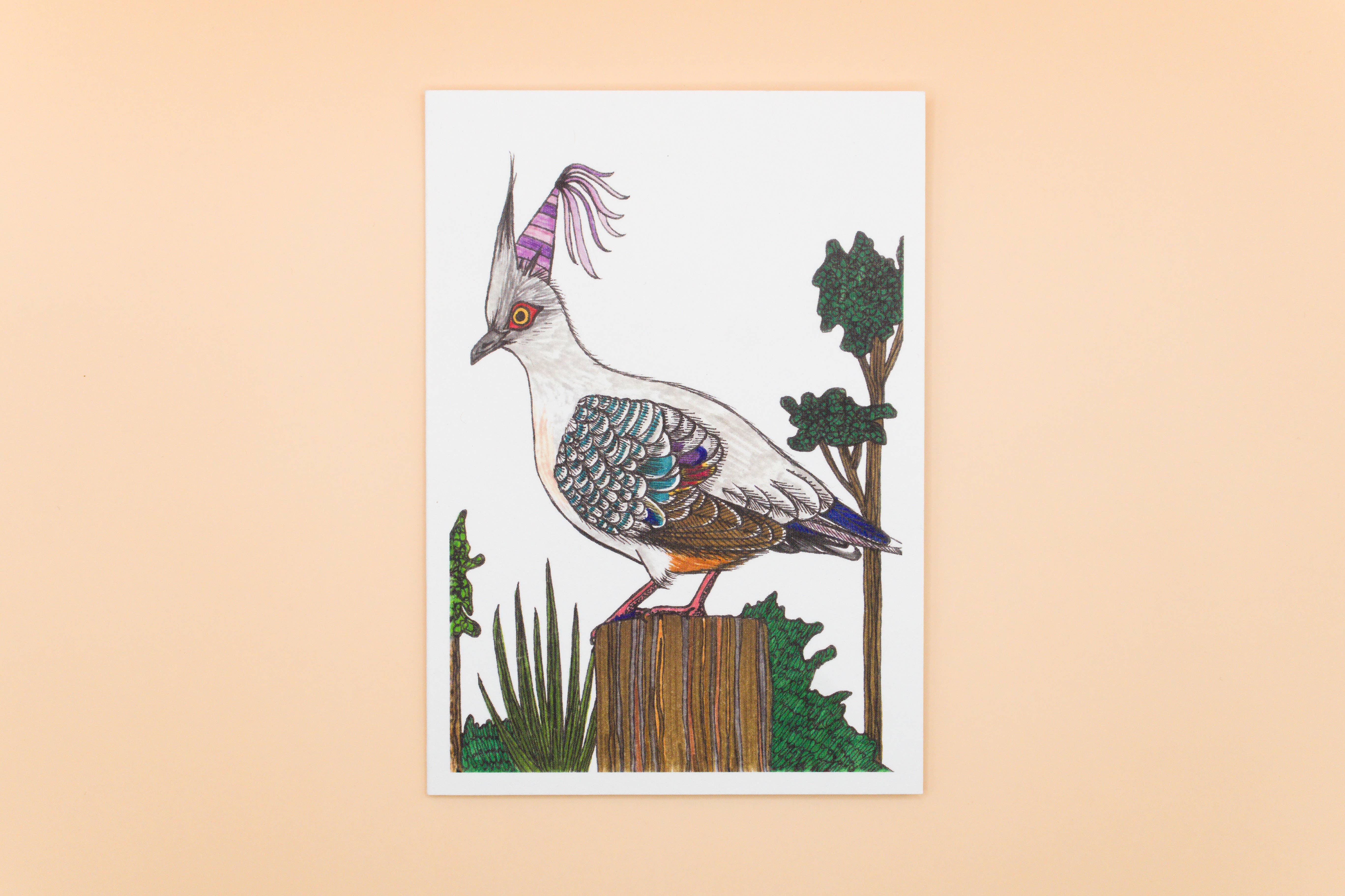 Sunshine Sea Art - Wholesale Birthday Card - Crested Pigeon Greeting Card | Aussie Bird Birthday Card