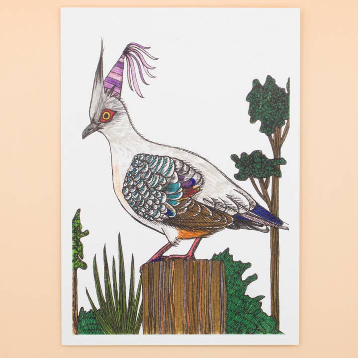 Sunshine Sea Art - Wholesale Birthday Card - Crested Pigeon Greeting Card Australian Bird Birthday Card