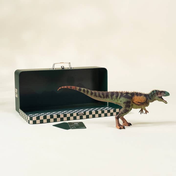 Coco Village - Wholesale Figurine toy – Kids - Tyrannosaurus Rex Dinosaur in a Collectible Box1