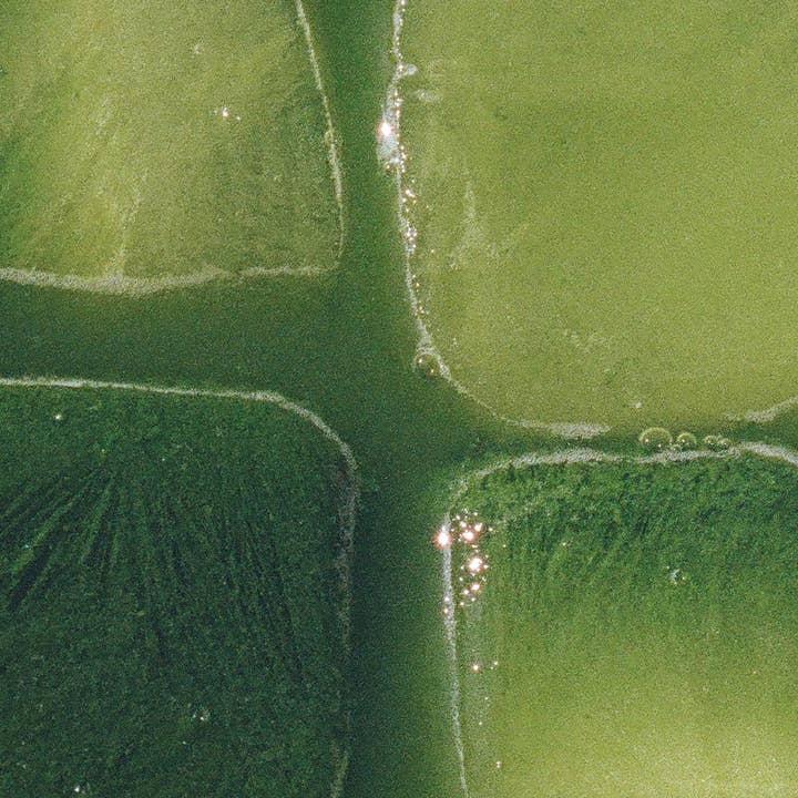 Atone - Wholesale Health/Detox Tea - Radiant Matcha1