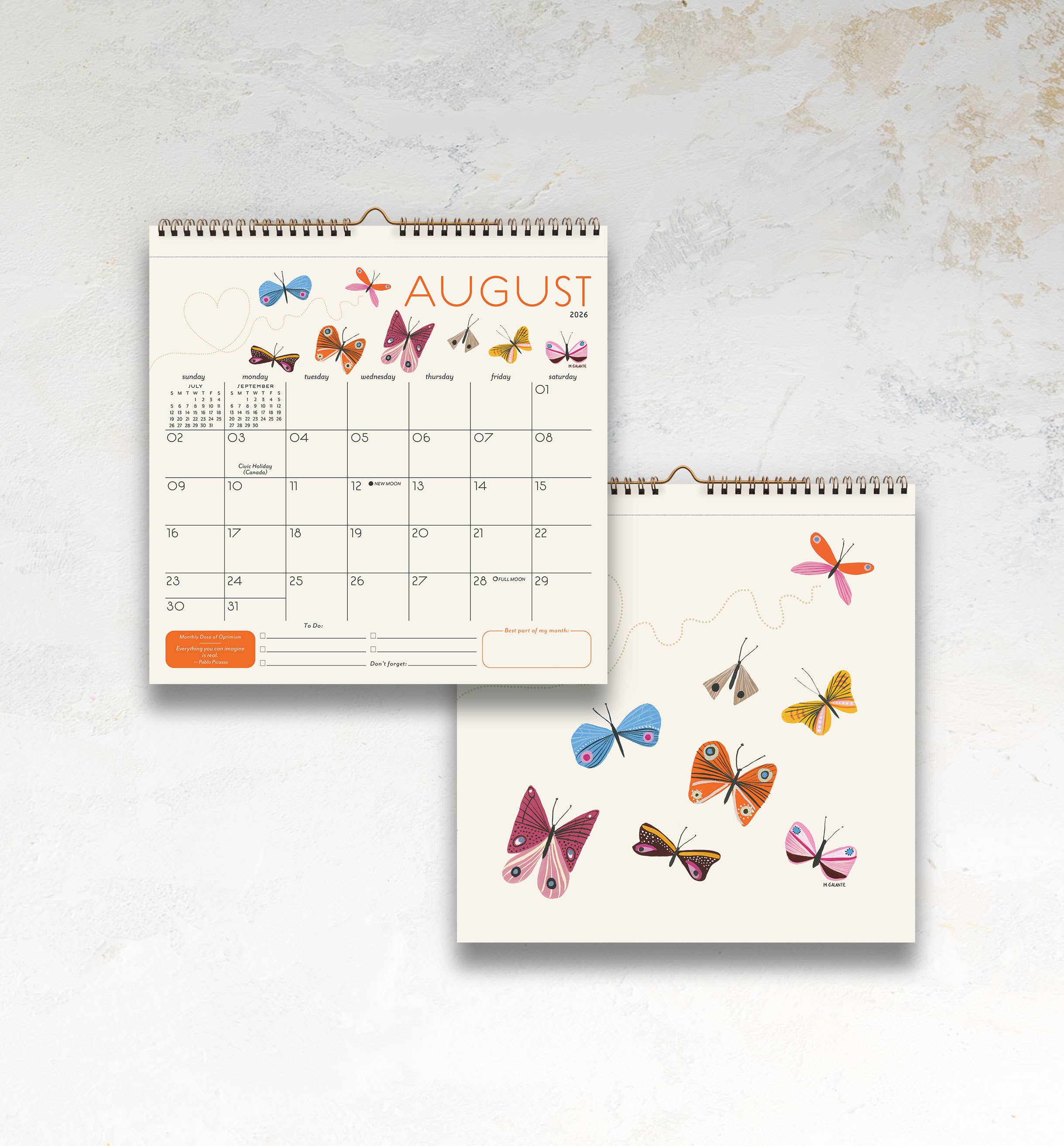 Seedlings - Wholesale Calendar - 2026 Seedlings Garden Party 12 Month Classic Grid Calendar2