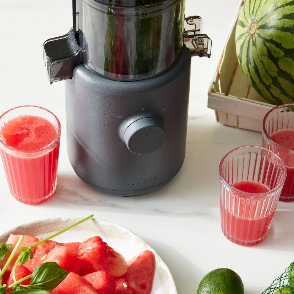 Hurom - Wholesale Juicer - Easy Clean (Compact) - H310 Cold Press Juicer32