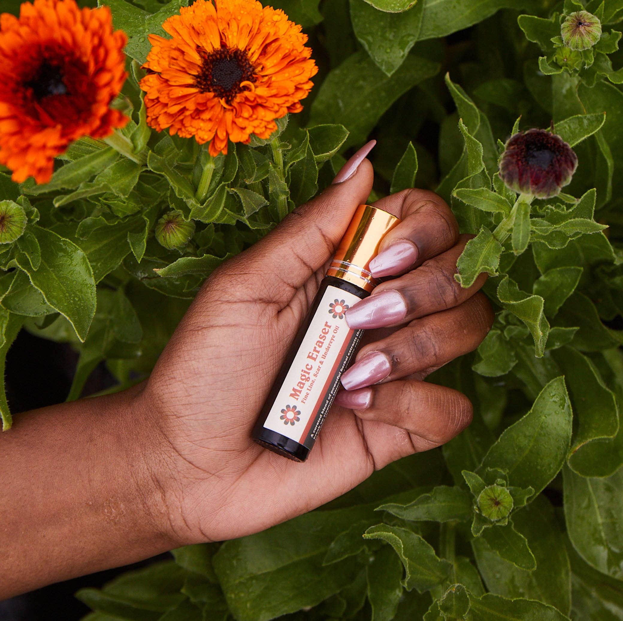 Cedar Hill Homestead – wholesale Eye serum – Magic Eraser– Fine Line & Scar Softener0