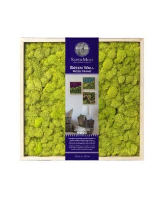 SuperMoss - Wholesale Wall Accent - Vertical Gardens - Reindeer Moss Walls1