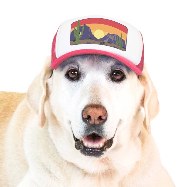 PupLid - Wholesale Pet Hat - Dog - Desert Owl Standard or Namedrop | Trucker Hat for Dogs13