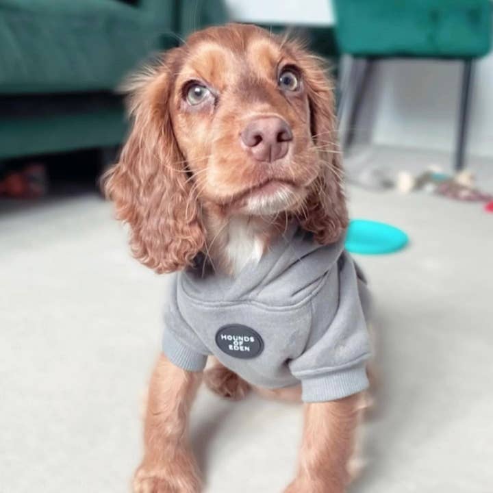 Hounds of Eden – wholesale Pet hoodie – Dog – Dog Hoodie - Purple8