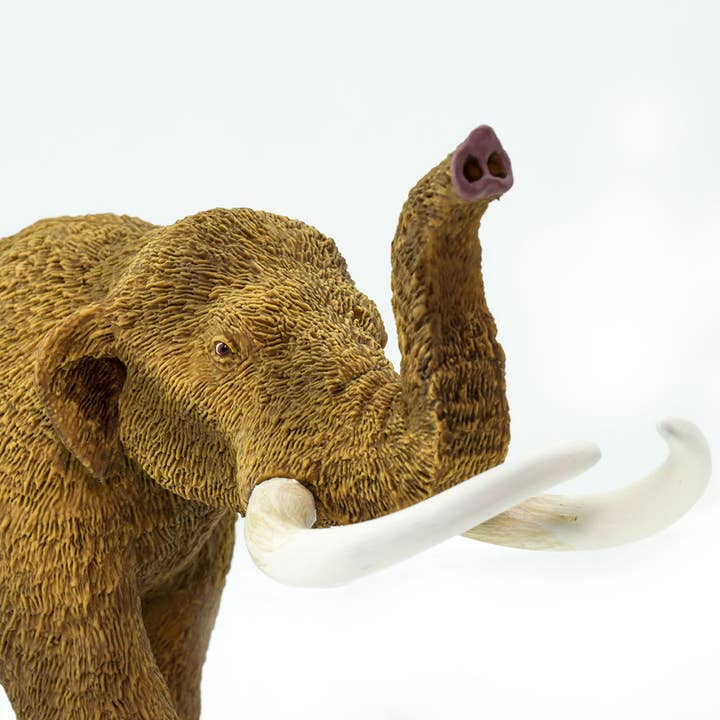 Safari Ltd. - Wholesale Figurine Toy - Kids - American Mastodon - Kids' Figurine Toy5