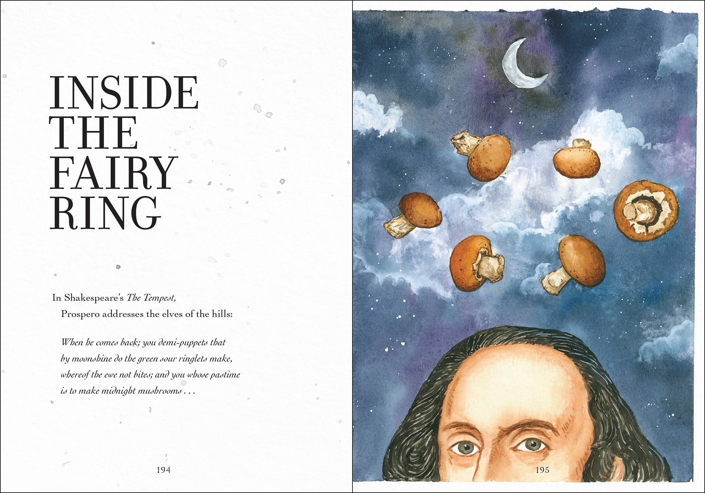 AdventureKEEN - Wholesale Nature & Outdoors - Wonder of Mushrooms10