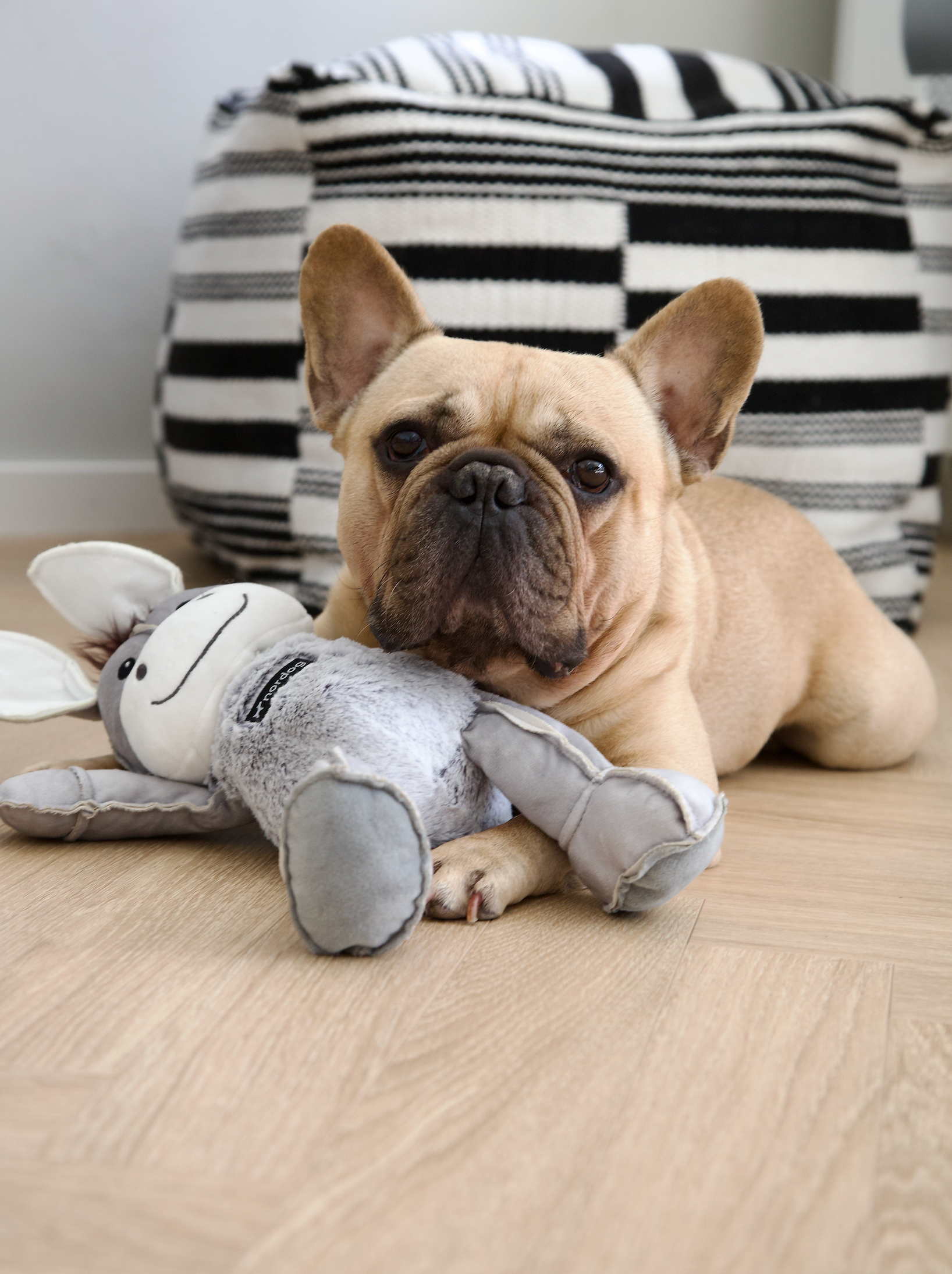 Nordog - Venta al por mayor Juguete de goma - Perros - Dix The Donkey - Peluche para perros Nordog5