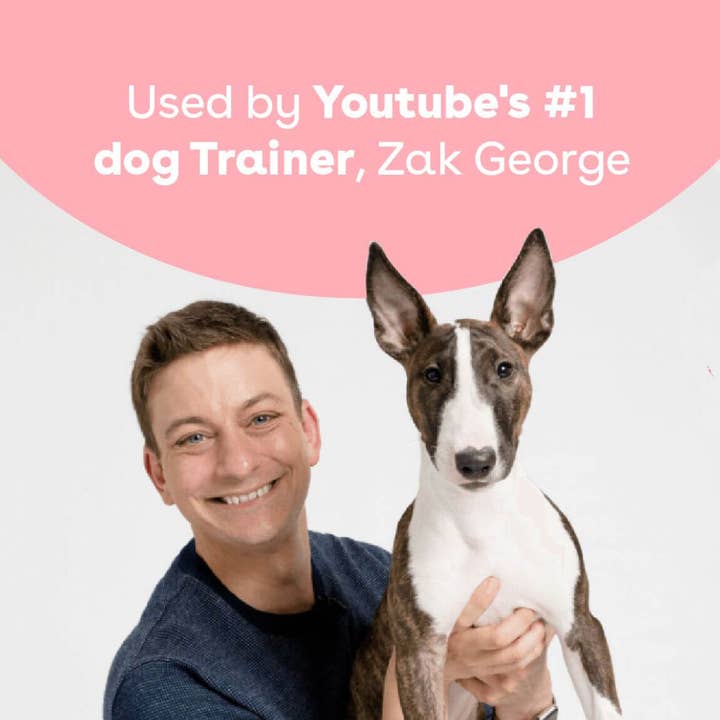 Pupford - Wholesale Pet Treats - Dog - Soft Chicken Training Treats6