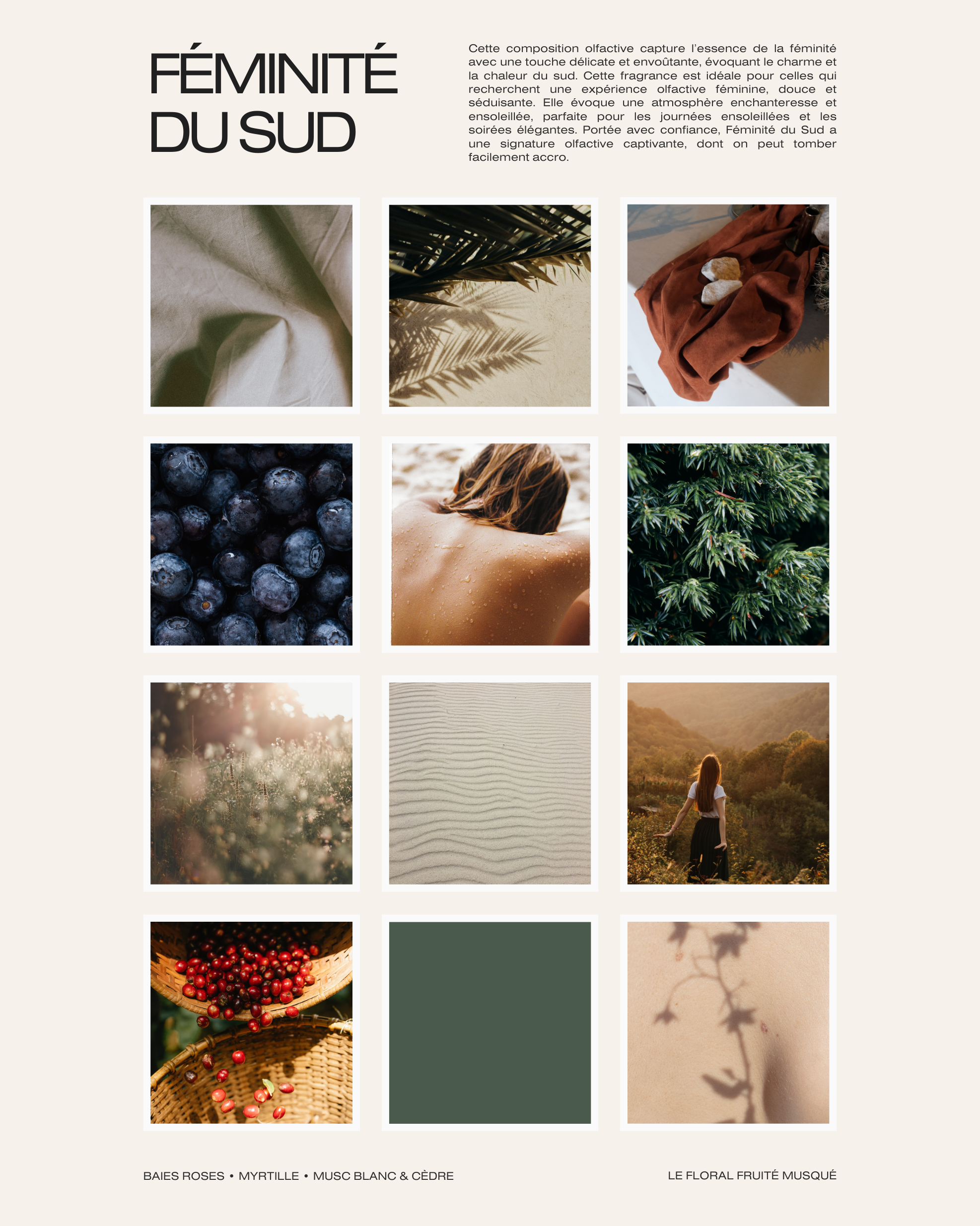 FÔME CARE - Wholesale Handcrème/lotion - The Signature Box – Vrouwelijkheid van het Zuiden3