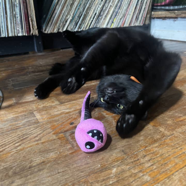 Doris Bizarro - Wholesale Pet Plush Toy - Dog - Pink Eye Jr.2