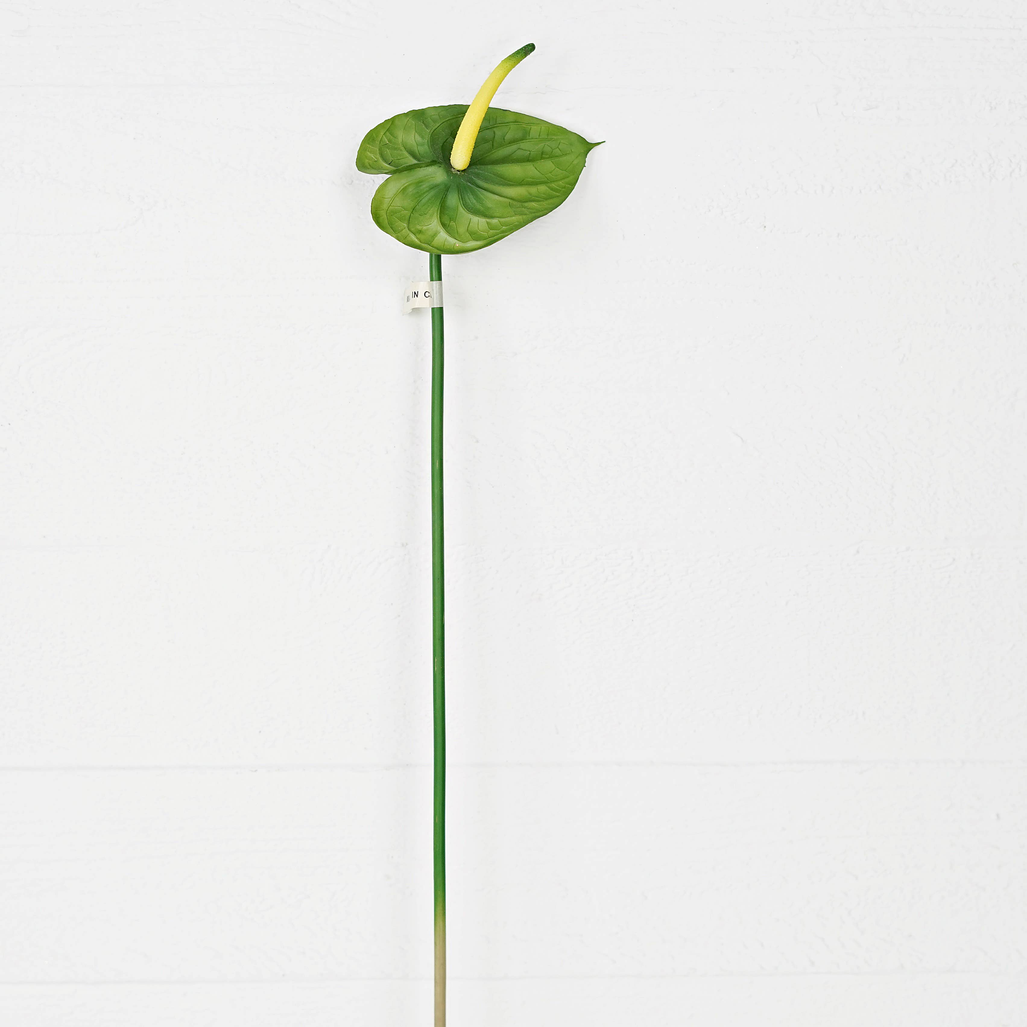 Holiday Depot Inc. - Wholesale Artificial Flowers - IT186GR- 25inH Anthurium stem- Green 6in x 4.5in head1