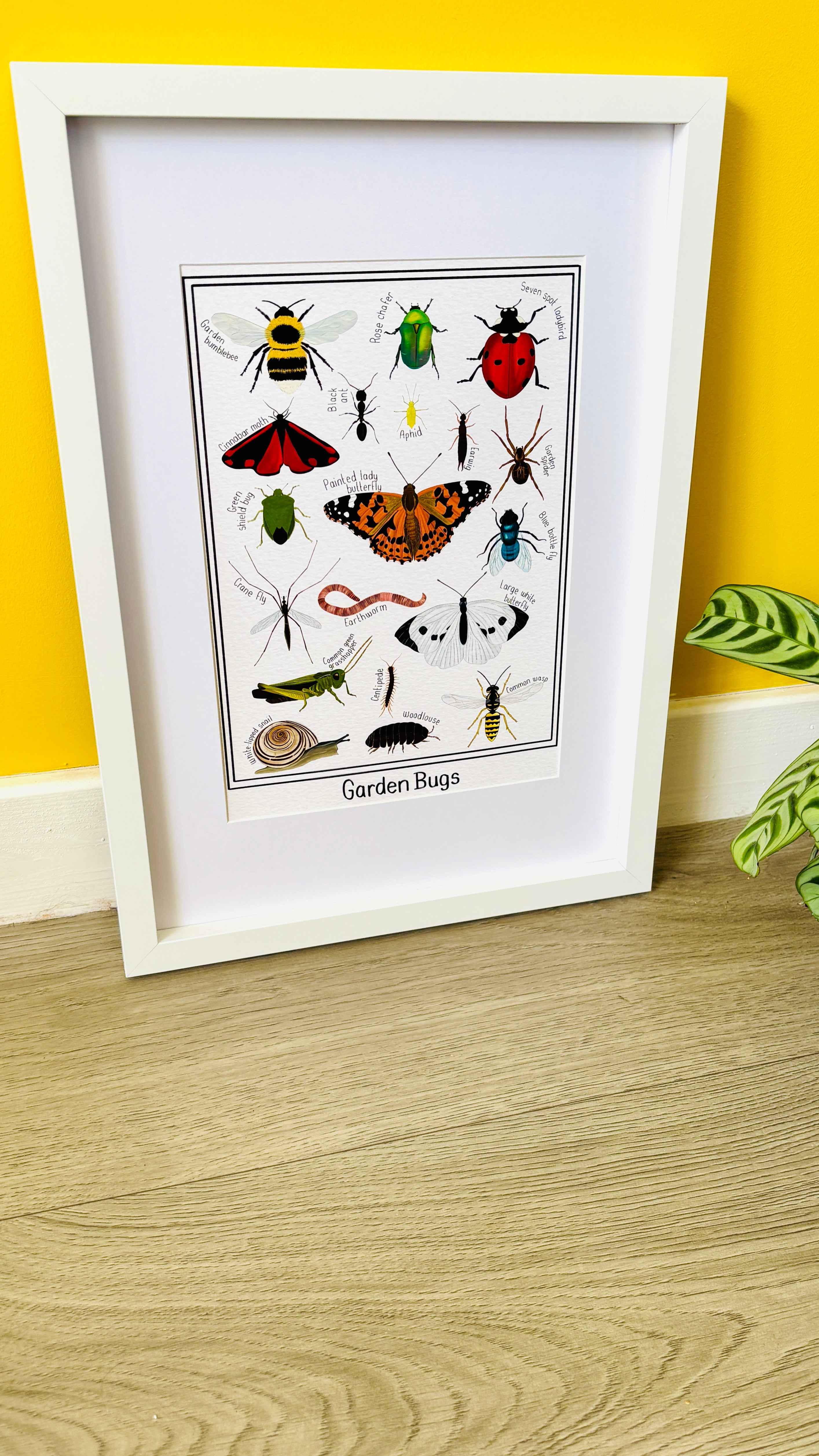 Pixiecraft - Wholesale Art Print - Garden Bug Wall Art Print: Nature Inspired Educational Prints7