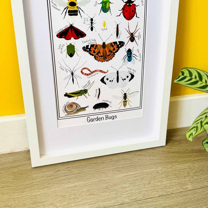 Pixiecraft - Wholesale Art Print - Garden Bug Wall Art Print: Nature Inspired Educational Prints7