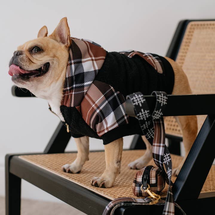 Frenchie - Wholesale Pet Hoodie - Dog - Frenchie Dog Hoodie - Cocoa Plaid3