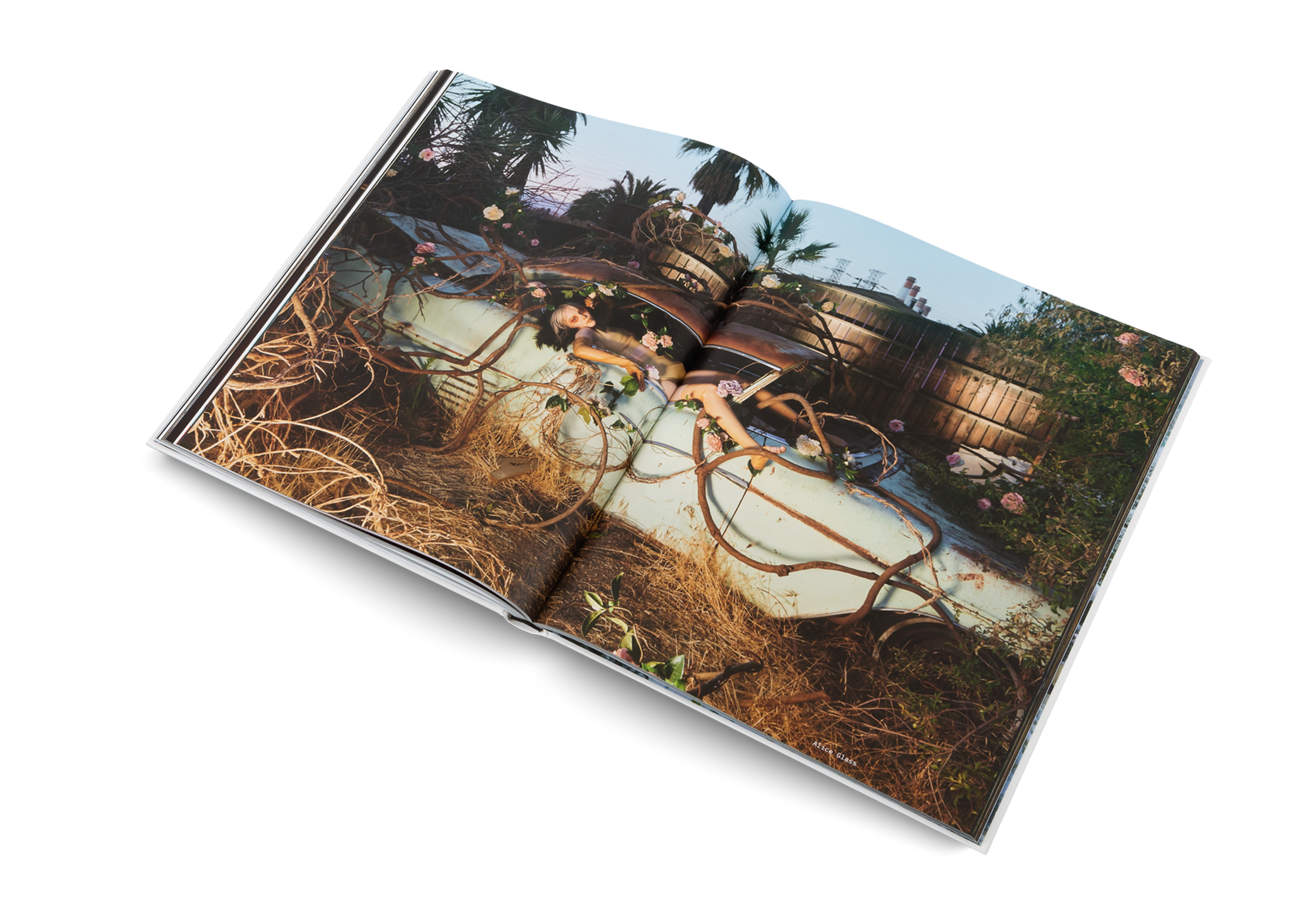 gestalten - Venta al por mayor Libro decorativo - Eat The Sun - Floria Sigismondi10