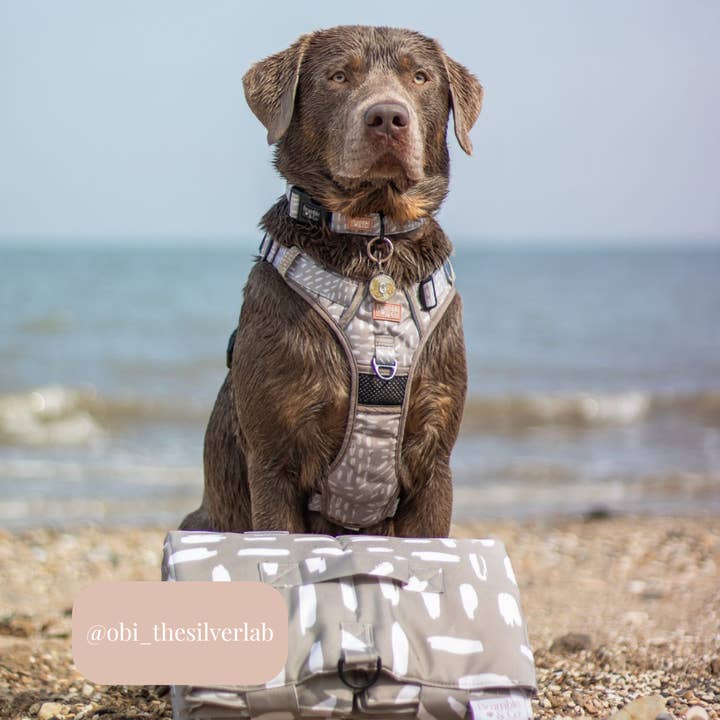 Bramble & Co – wholesale Matta - Hund – Resematta - Känslorna Neutrala